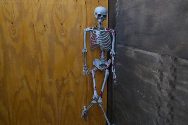 Ahşap bir duvara yaslanmış gerçek boyutta bir iskelet modeli, detaylı kemik yapısı sergiliyor, vurgulamak için kırmızı bölgeler boyuyor.