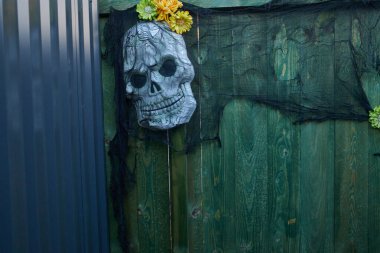 Yeşil ahşap bir çitte asılı ürkütücü bir kafatası süsü, siyah ağ ve sarı çiçeklerle süslenmiş, Cadılar Bayramı atmosferi yaratıyor.