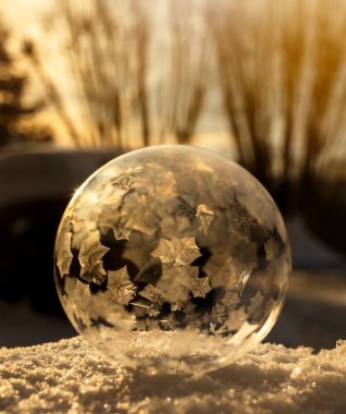 Sihirli Kış Sahnesi: Kar Tanesi desenli Donmuş Baloncuk