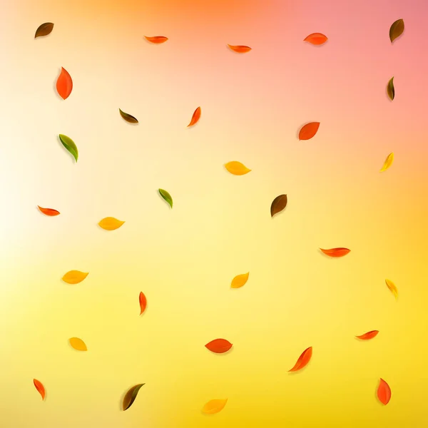 Hojas de otoño cayendo. Rojo, amarillo, verde, marrón r — Vector de stock