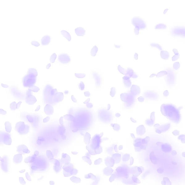 Лепестки фиолетовых цветов падают. Экзотический романтик — стоковый вектор