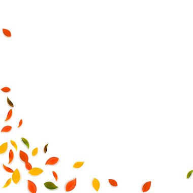 Sonbahar yaprakları dökülüyor. Kırmızı, sarı, yeşil, kahverengi c