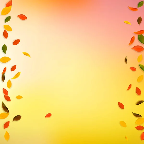 秋天落叶。红、黄、绿、褐色c — 图库矢量图片