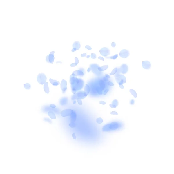 Σκούρα μπλε πέταλα λουλουδιών πέφτουν κάτω. Κουέιντ Ρόμαν — Διανυσματικό Αρχείο