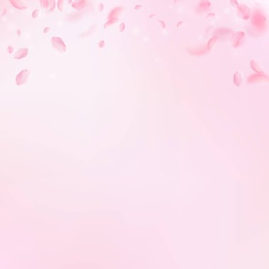 Sakura yaprakları dökülüyor. Romantik pembe çiçekler 