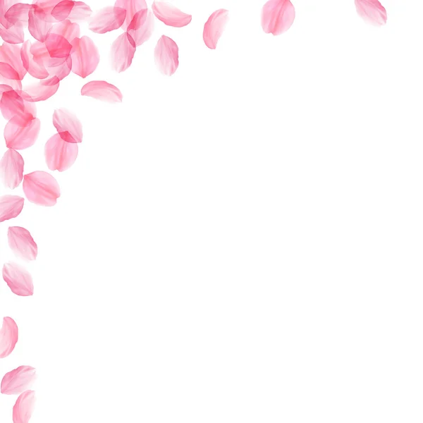 Пелюстки Сакури падають. Романтичне рожеве шовкове дерево — стоковий вектор
