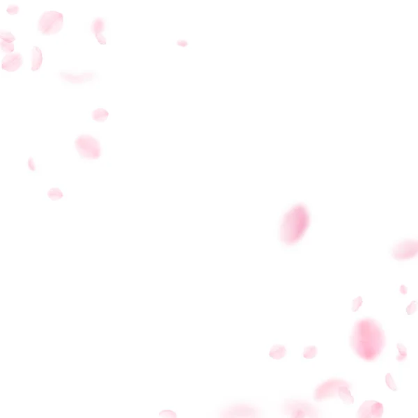 Kelopak Sakura jatuh. Romantis bunga merah muda - Stok Vektor