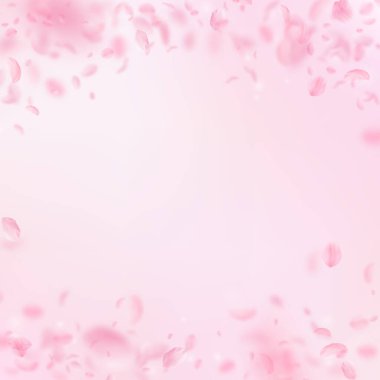 Sakura yaprakları dökülüyor. Romantik pembe çiçekler 