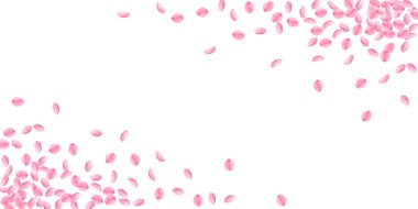 Sakura yaprakları dökülüyor. Romantik pembe parlak m