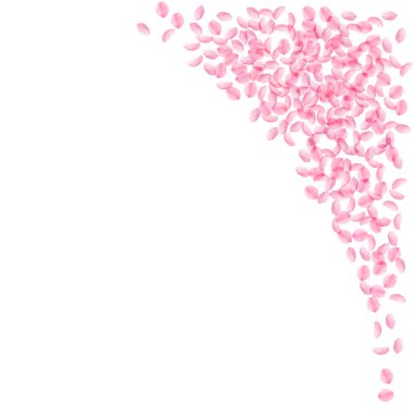 Sakura yaprakları dökülüyor. Romantik pembe ipeksi.
