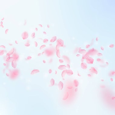 Sakura yaprakları dökülüyor. Romantik pembe çiçekler 