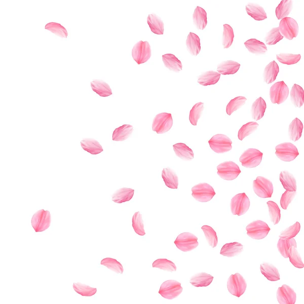 Sakura petals falling down. Romantic pink silky me — Stock Vector