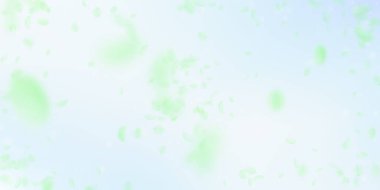 Yeşil çiçek yaprakları dökülüyor. Çok romantik.