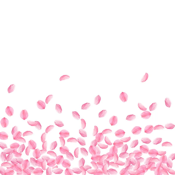 Pétalos Sakura cayendo. Romántico rosa brillante m — Vector de stock