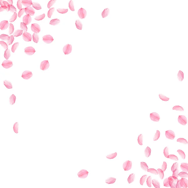 Лепестки Сакуры падают. Романтический розовый шелковистый я — стоковый вектор