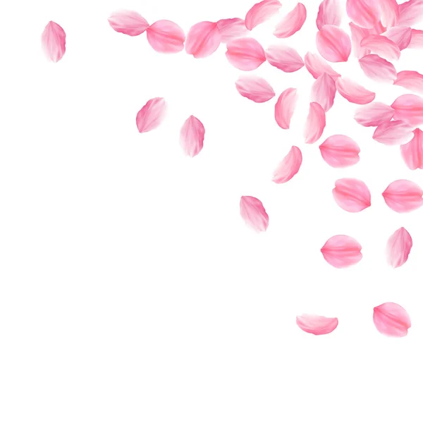 Sakura szirmok hullanak le. Romantikus rózsaszín fényes b — Stock Vector