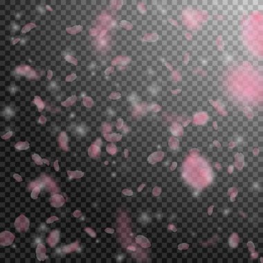 Sakura yaprakları dökülüyor. Romantik pembe çiçekler 