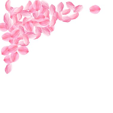Sakura yaprakları dökülüyor. Romantik pembe parlak b