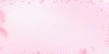 Sakura yaprakları dökülüyor. Romantik pembe çiçekler 