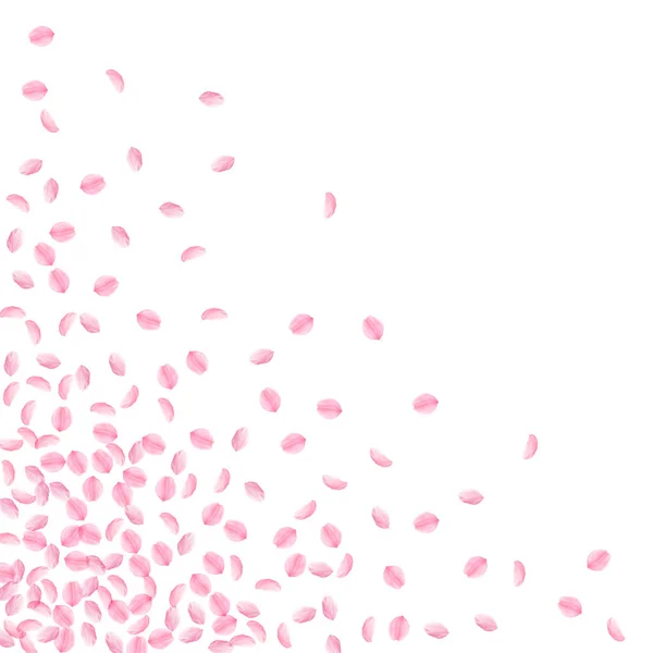 Des pétales de Sakura tombent. Romantique rose soyeux sm — Image vectorielle