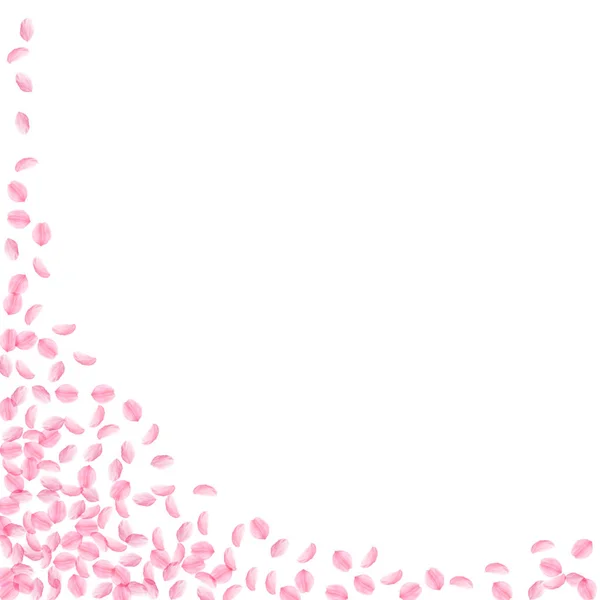 Лепестки Сакуры падают. Розовый шелковистый цвет — стоковый вектор