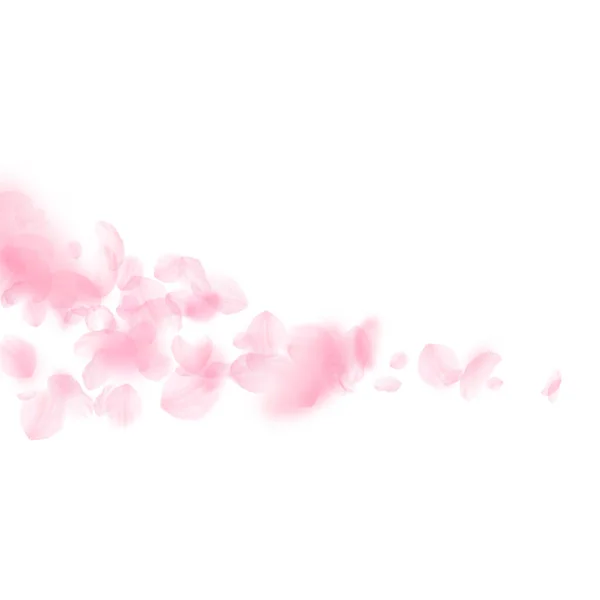 Padají okvětní lístky Sakury. Romantické růžové květy — Stockový vektor