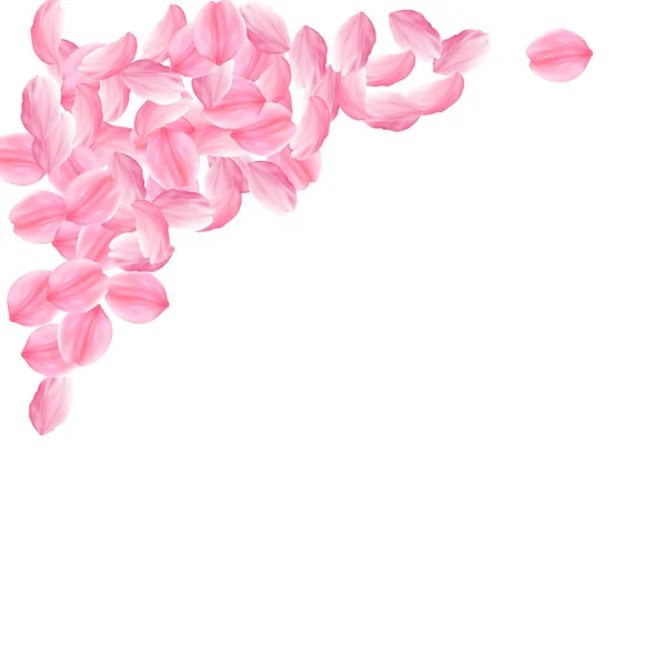 Sakura kronblad faller ner. Romantiskt rosa ljus b — Stock vektor