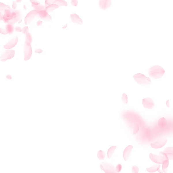 Des pétales de Sakura tombent. Fleurs roses romantiques — Image vectorielle