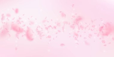 Sakura yaprakları dökülüyor. Romantik pembe çiçekler 