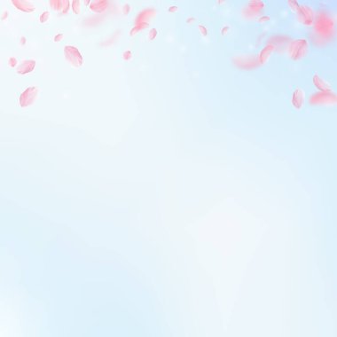 Sakura yaprakları dökülüyor. Romantik pembe çiçekler 