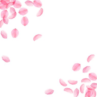 Sakura yaprakları dökülüyor. Romantik pembe ipeksi biseksüel