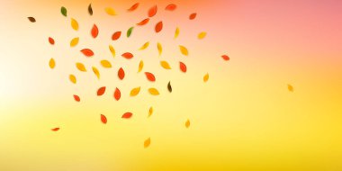 Sonbahar yaprakları dökülüyor. Kırmızı, sarı, yeşil, kahverengi...