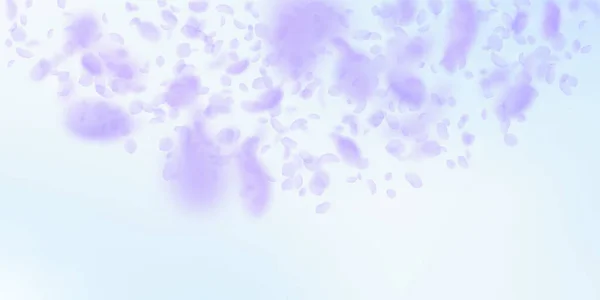 Pétalos de flores violetas cayendo. Romántico exótico — Vector de stock