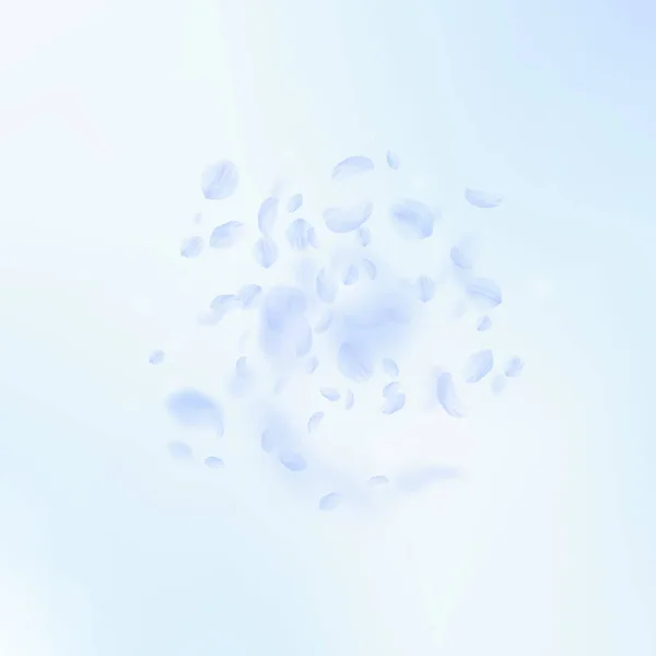 Light blue flower petals falling down. Beautiful r — Stock Vector