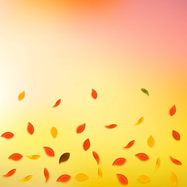 Sonbahar yaprakları dökülüyor. Kırmızı, sarı, yeşil, kahverengi...