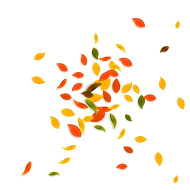 Sonbahar yaprakları dökülüyor. Kırmızı, sarı, yeşil, kahverengi c