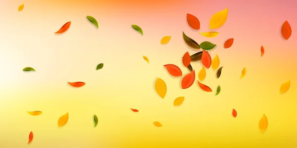 Feuilles d'automne tombantes. Rouge, jaune, vert, brun c — Image vectorielle