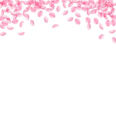 Sakura yaprakları dökülüyor. Romantik pembe ipeksi ben