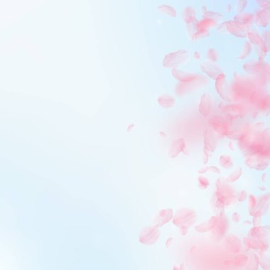 Sakura yaprakları dökülüyor. Romantik pembe çiçekler 