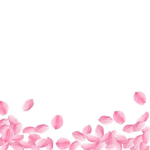 Petali di Sakura che cadono. Romantico rosa brillante b — Vettoriale Stock