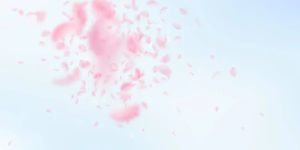 Des pétales de Sakura tombent. Fleurs roses romantiques — Image vectorielle