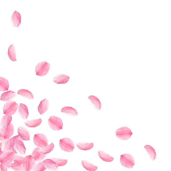 Лепестки Сакуры падают. Розовый яркий b — стоковый вектор