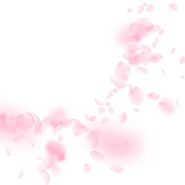 Sakura petals falling down. Romantic pink flowers — Stock Vector