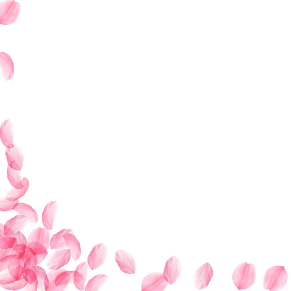 Лепестки Сакуры падают. Романтический розовый шелковистый би — стоковый вектор
