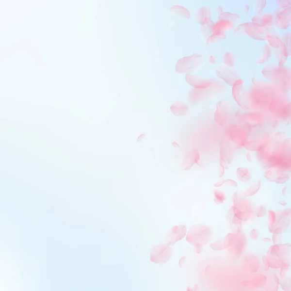 Des pétales de Sakura tombent. Fleurs roses romantiques — Image vectorielle