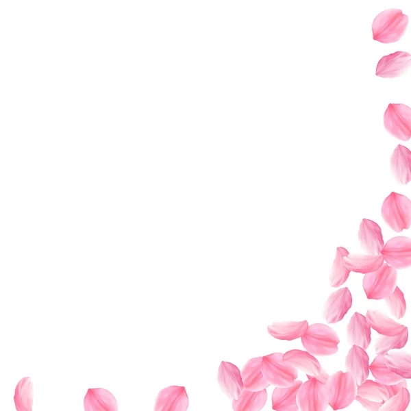 Пелюстки Сакури падають. Романтичне рожеве світло b — стоковий вектор