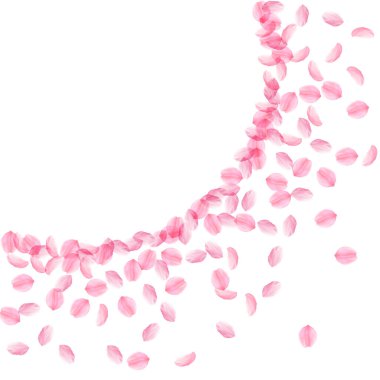 Sakura yaprakları dökülüyor. Romantik pembe ipeksi ben