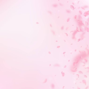 Sakura yaprakları dökülüyor. Romantik pembe çiçekler 