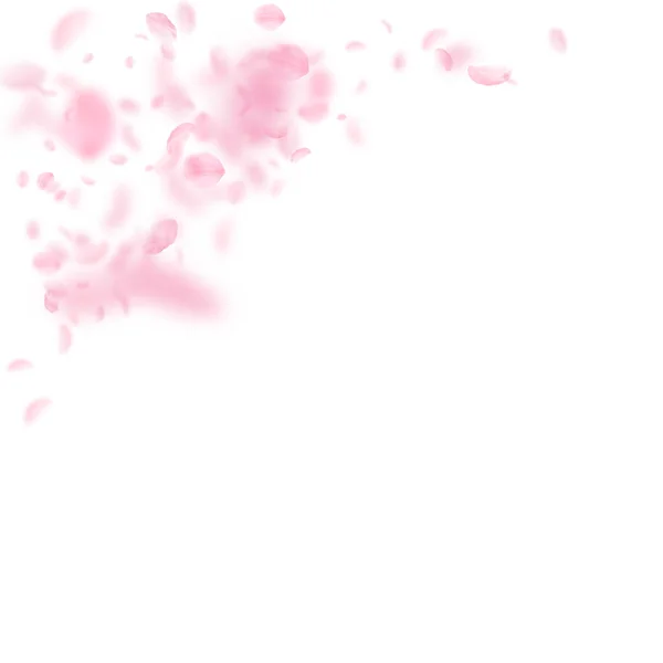 Sakura bloemblaadjes vallen naar beneden. Romantische roze bloemen — Stockvector