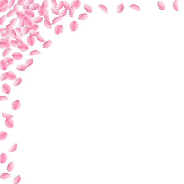 사쿠라 꽃잎이 떨어진다. 낭만적 인 분홍색밝은 m — 스톡 벡터